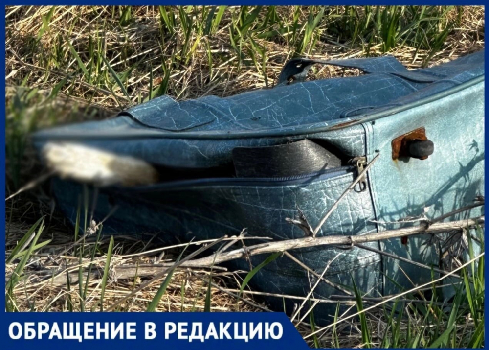 Жительница Новороссийска обнаружила кровавую находку на виноградниках