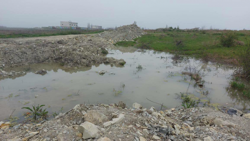 Ущерб в 15 миллионов: земельные участки в Алексино гибнут от загрязнений