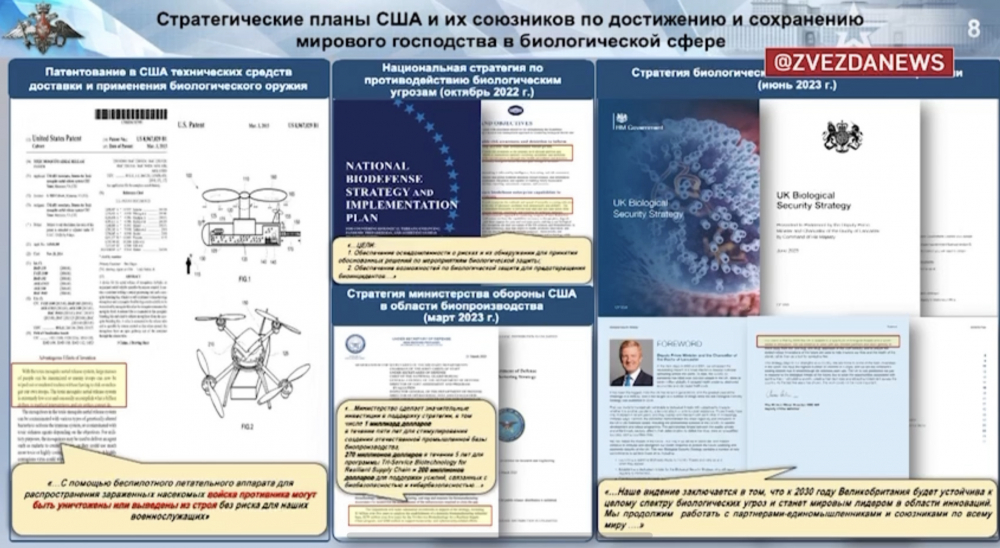 Может ли искусство быть оружием проект