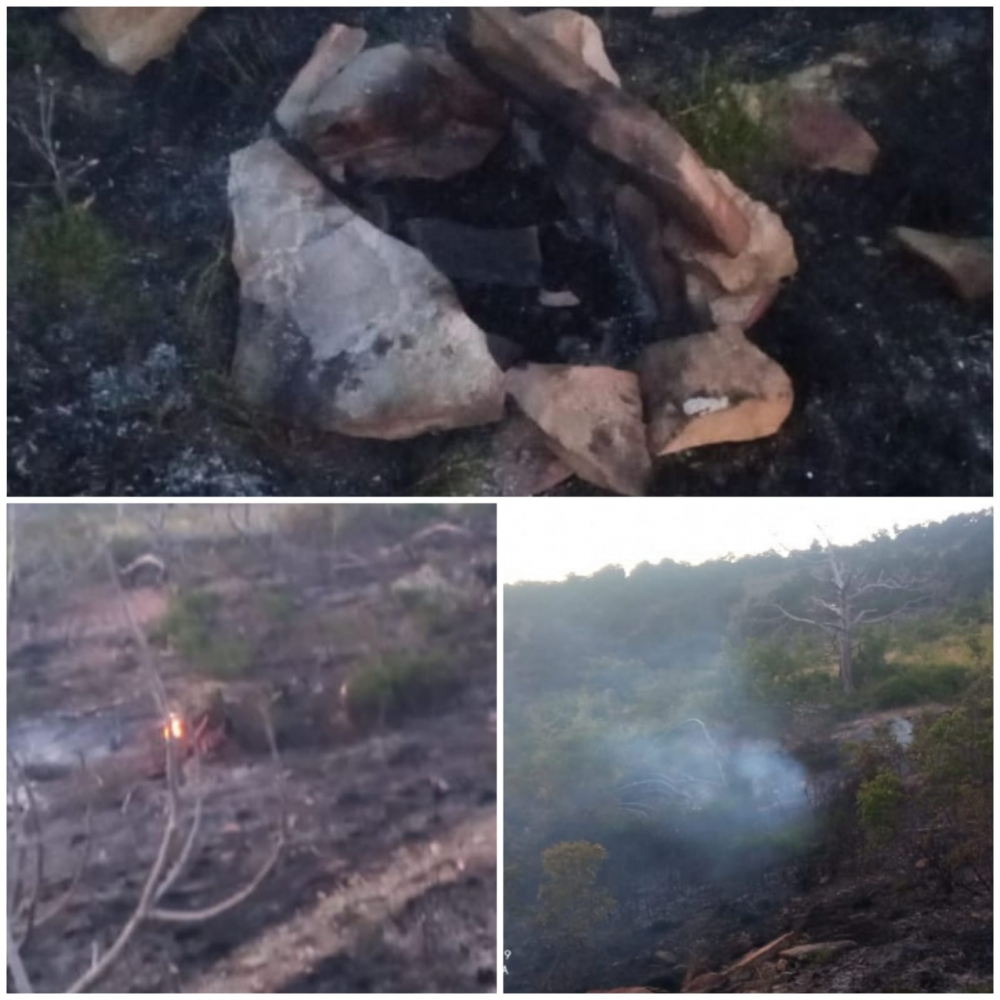 Непотушенный костер стал причиной возгорания в лесу Новороссийска