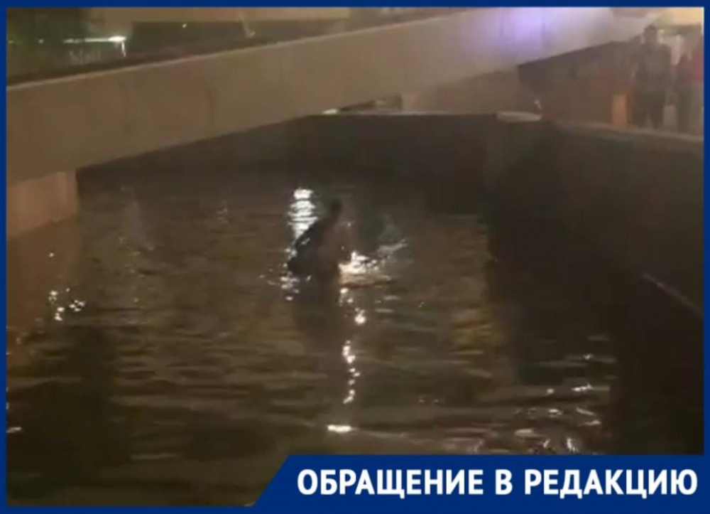 «А если бы туда упал человек?»: собака в парке Фрунзе в Новороссийске упала в пруд и не смогла выбраться