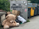 У мусорки в Новороссийске разорвалось чьё-то плюшевое сердце