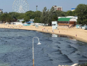 Это не мазут! Оперштаб Краснодарского края отрицает наличие нефтепродуктов в водорослях на пляжах Анапы