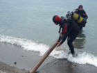 Спасатели проверили, можно ли купаться на местных пляжах
