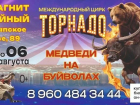Чудес много не бывает! В Новороссийск приехали «Медведи на буйволах»