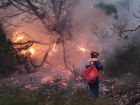 62 гектара огня: причину пожара под Новороссийском смогут установить после тушения 