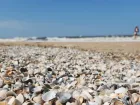 Пляжи Азовского моря уже готовятся к приему туристов