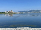 Ученый обнаружил в Суджукской лагуне исчезнувший вид водорослей 