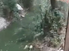 Не о таком отдыхе мечтали туристы: зеленая жижа сливается в море Новороссийска