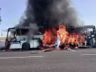 Атака на рейс: беспилотник ударил по автобусу Краснодар — Мелитополь