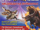 Фееричное шоу «МЕДВЕДИ НА БУЙВОЛАХ» в Новороссийске!