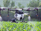 Кубанским аграриям запретили использовать дроны