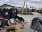 Горы мусора, бродячие собаки: свалка растет рядом с домами новороссийцев 