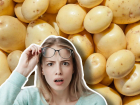 Картофельная "инфляция": в Новороссийске и на Кубани дорожают овощи? 