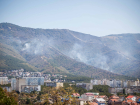 Что известно о лесном пожаре в Геленджике к этому часу 