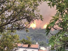Огонь распространяется очень быстро: в Дюрсо горит лес 