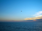 Российский истребитель отпугнул три французских самолета над Черным морем 