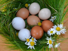 Яйца в Новороссийске могут подешеветь: ценами занялась генеральная прокуратура 