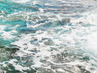 Чистое море — Роспотребнадзор проверил качество воды на Черноморском побережье