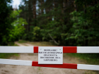 Отставить шашлыки: леса Новороссийска остаются под запретом