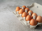 В России дешевеют яйца: что насчёт Новороссийска 
