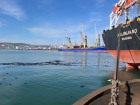 Владелец иностранного судна выплатит почти полмиллиарда рублей за загрязнение моря в Новороссийске