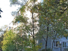 Замены асфальтового покрытия двора ждут годами в Приморском районе Новороссийска