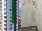 Несчастливый "Клевер": новые квартиры новороссийцев текут и покрываются плесенью 