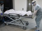 19 погибших: смертность от COVID-19 набирает обороты на Кубани 