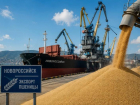Более 400 тысяч тонн за неделю: через Новороссийск резко вырос экспорт зерна