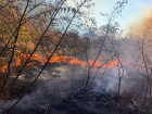 Низовой лесной пожар в Геленджике тушили 22 часа
