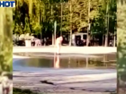 Жительница Новороссийска обнаженной искупалась в фонтане