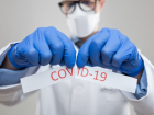 Новороссийск попал в ТОП лидеров по COVID-19 