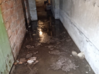 «Спим с открытыми окнами», - подвал новороссийцев затопило канализационными отходами 