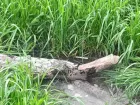 Допросились: жара накрыла Новороссийск