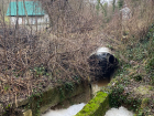 Ядовитые реки с Щелбы — полиция Новороссийска проводит проверку