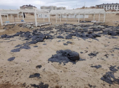 Российские учёные думают, что пляжи Анапы не смогут восстановиться до лета