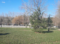 В Новороссийске реконструируют сквер имени Чайковского   