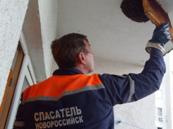 Работа не мед: спасатели сняли с балкона жилого дома пчелиный рой