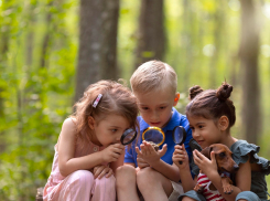 Новороссийцы смогут отправить ребенка в лагерь за маткапитал? — новое предложение в Госдуме