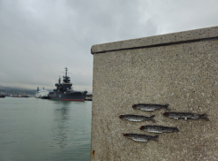 Погода в Новороссийске: температура воздуха снижается – холода возвращаются 