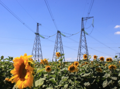 Девять объектов АПК присоединено к электросетям  в юго-западном энергорайоне