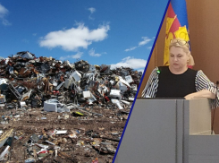 Руководство свалки на Щелбе хочет построить новые карты полигона