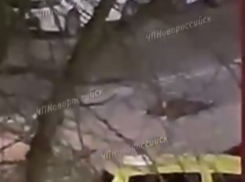 Жуткое ДТП в Новороссийске: пешеход лег на дорогу и его переехал автомобиль