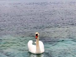  Интуиция - ваше все: звезды подскажут, как быть всем знакам зодиака