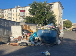 Новороссийцы живут на «минном поле» голубиного помета рядом со свалкой 