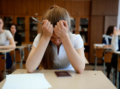 «Профиль» или «база»: ЕГЭ по математике сдают 1297 новороссийцев