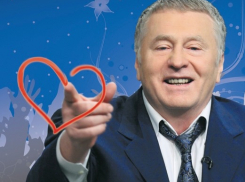 Кстати, о постели: Жириновский предложил новороссийским парам перестать вместе спать