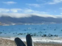 Гороскоп от «Блокнота»: у Скорпионов решатся финансовые вопросы, а у Раков разрешатся «висяки»