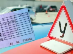 Учеба на права по-новому: что изменится для будущих водителей с 1 марта